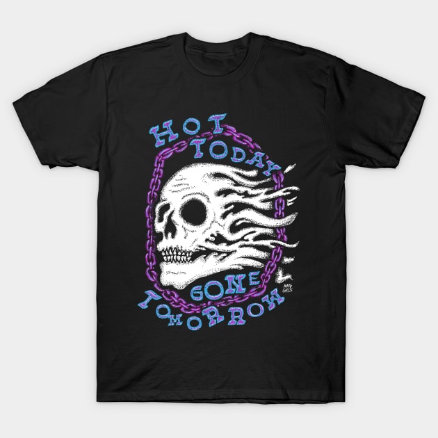 Hot Today Gone Tomorrow T-Shirt by Moonguts